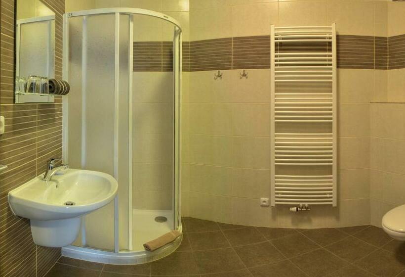 اتاق استاندارد, Penzion Na Dlouhé