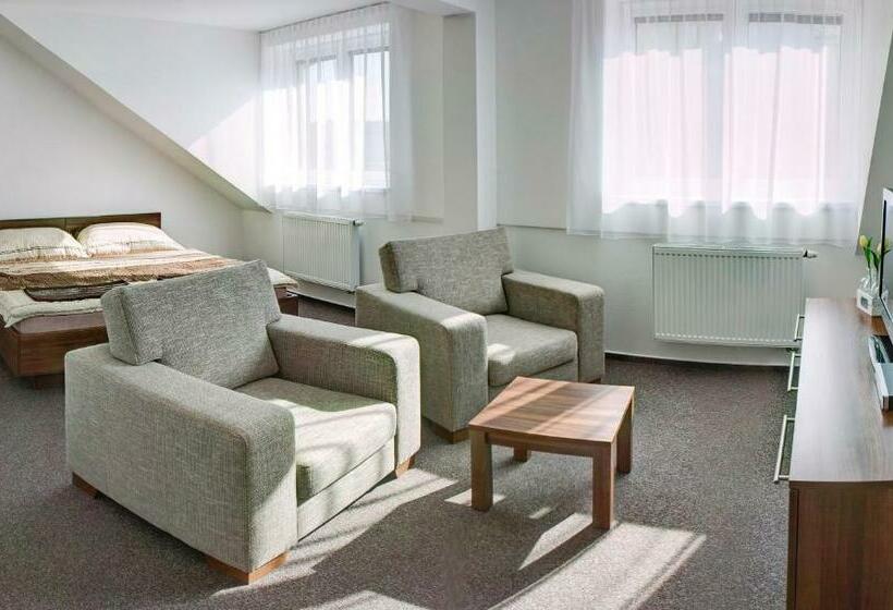 标准间, Penzion Na Dlouhé