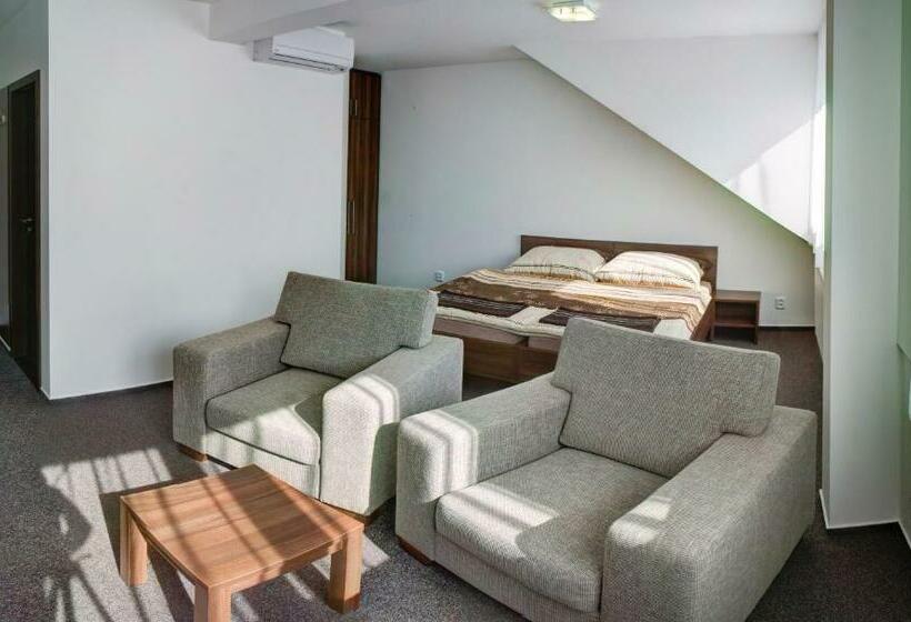 标准间, Penzion Na Dlouhé