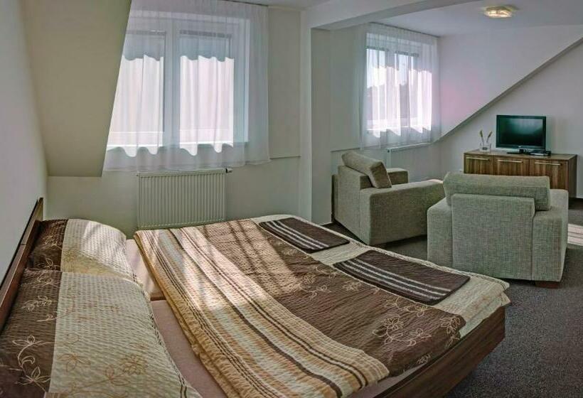 标准间, Penzion Na Dlouhé