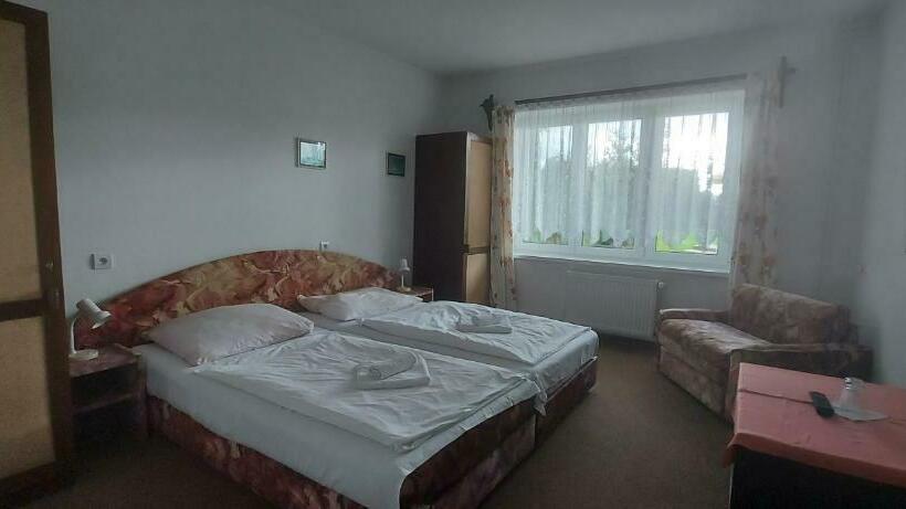 غرفة قياسية, Penzion Speedway