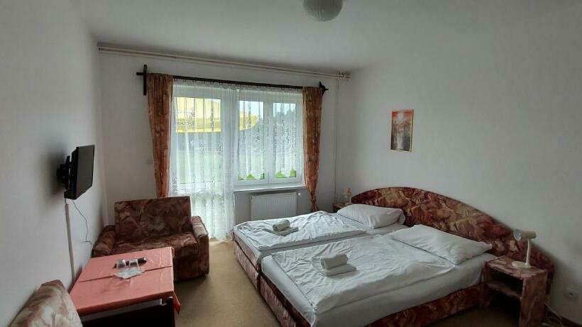 غرفة قياسية, Penzion Speedway