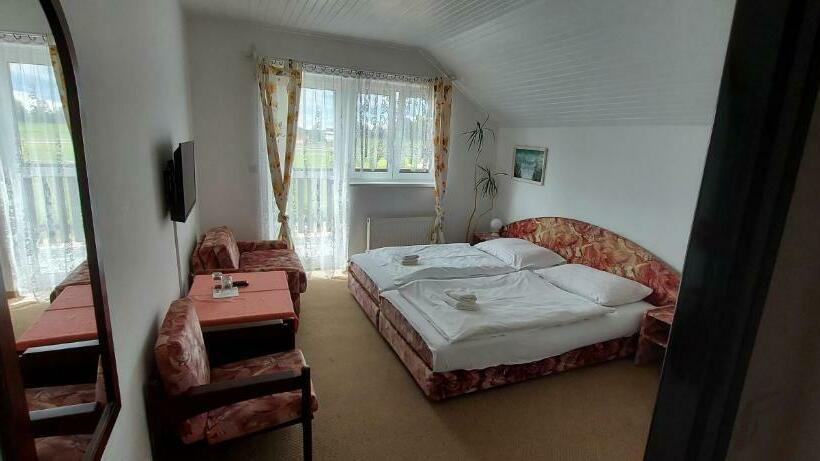 غرفة قياسية, Penzion Speedway