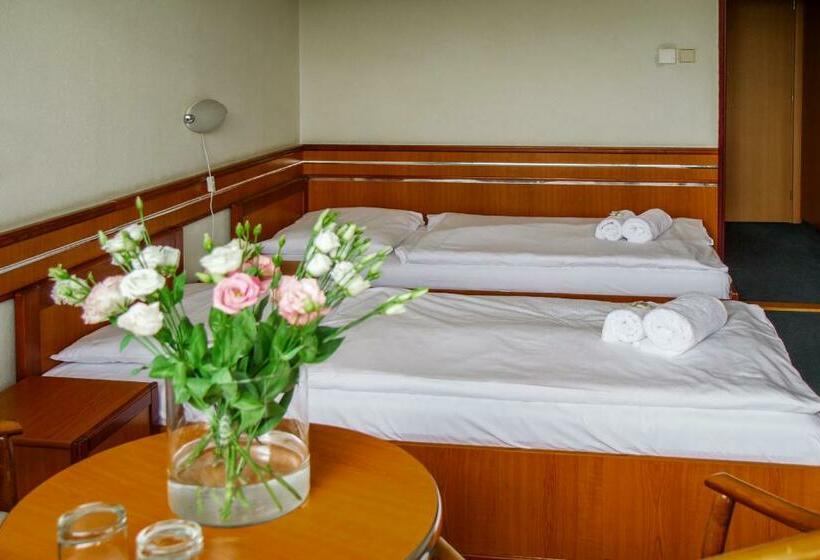 غرفة قياسية, Ibis Styles Relax Roznov Pod Radhostem