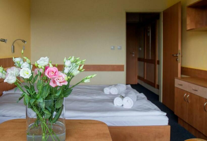 غرفة قياسية, Ibis Styles Relax Roznov Pod Radhostem