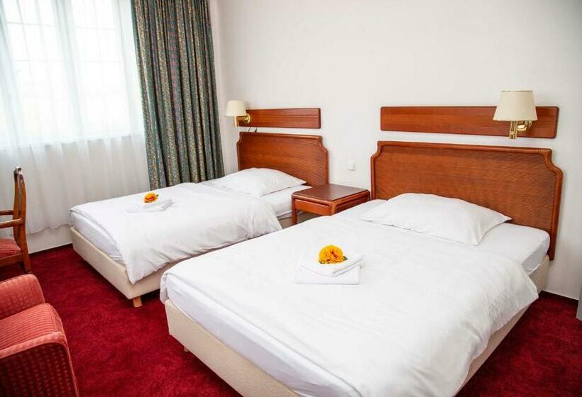 اتاق استاندارد چهار تخته, S Centrum Děčín