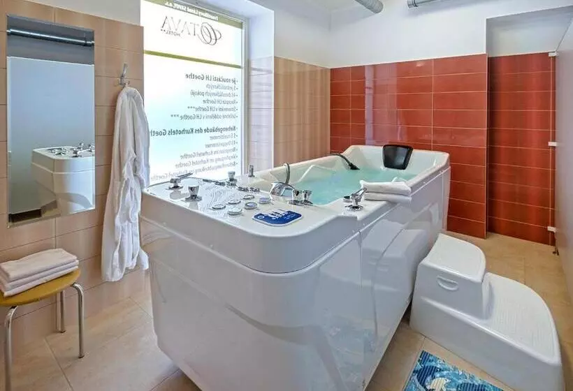 スタンダードルーム, Spa Hotel Goethe