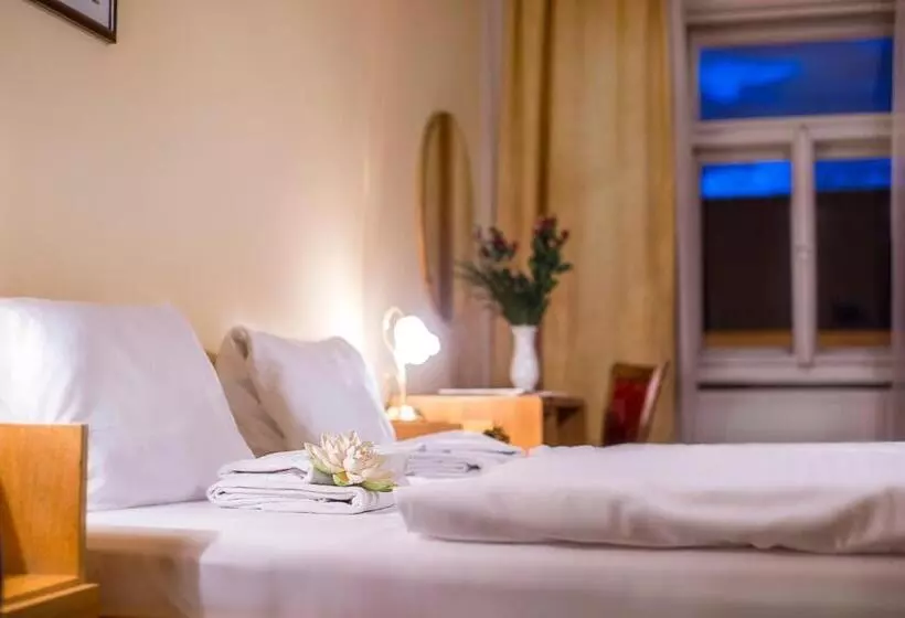 スタンダードルーム, Spa Hotel Goethe