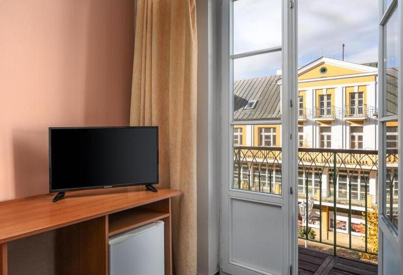 اتاق سوپریور یک تخته, Spa Hotel Goethe