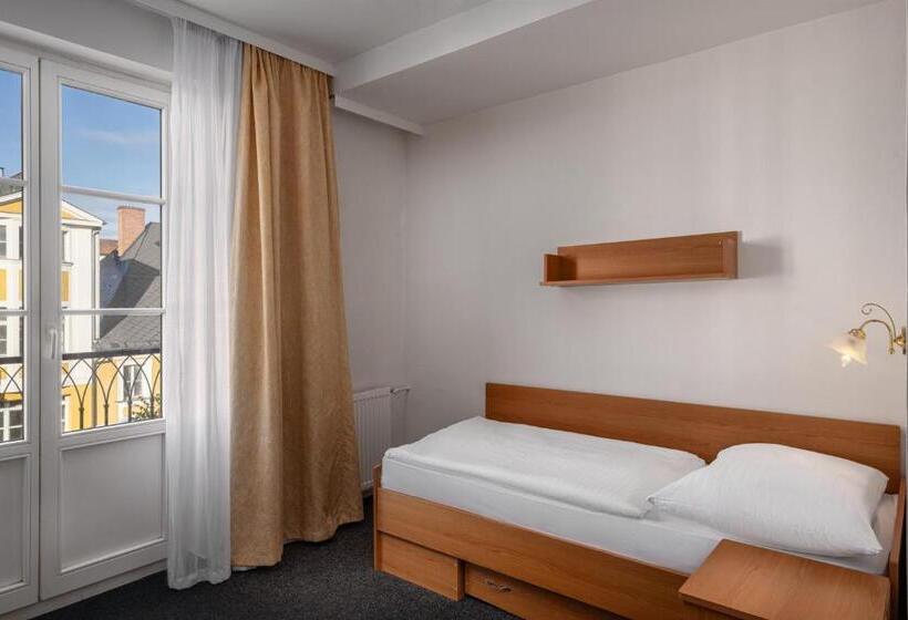 اتاق سوپریور یک تخته, Spa Hotel Goethe