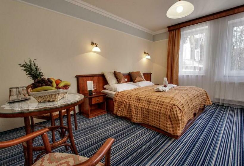 标准间, Spa & Wellness Hotel Harmonie