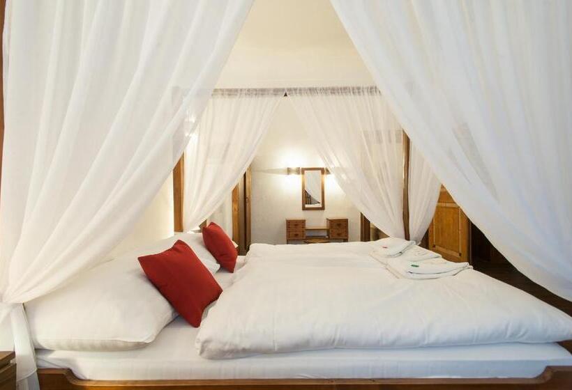 高级大房间, U Maleho Vitka