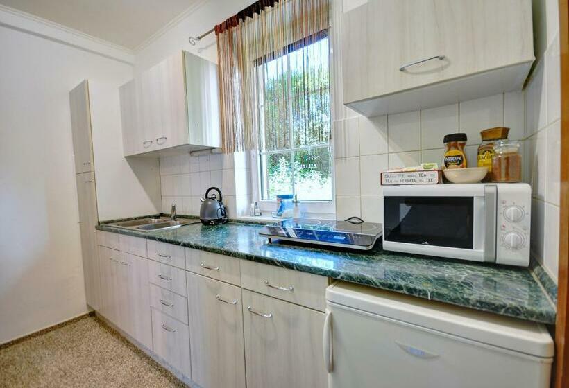 شقة غرفة واحدة مطلة على الحديقة, Wellness Hotel Fénix