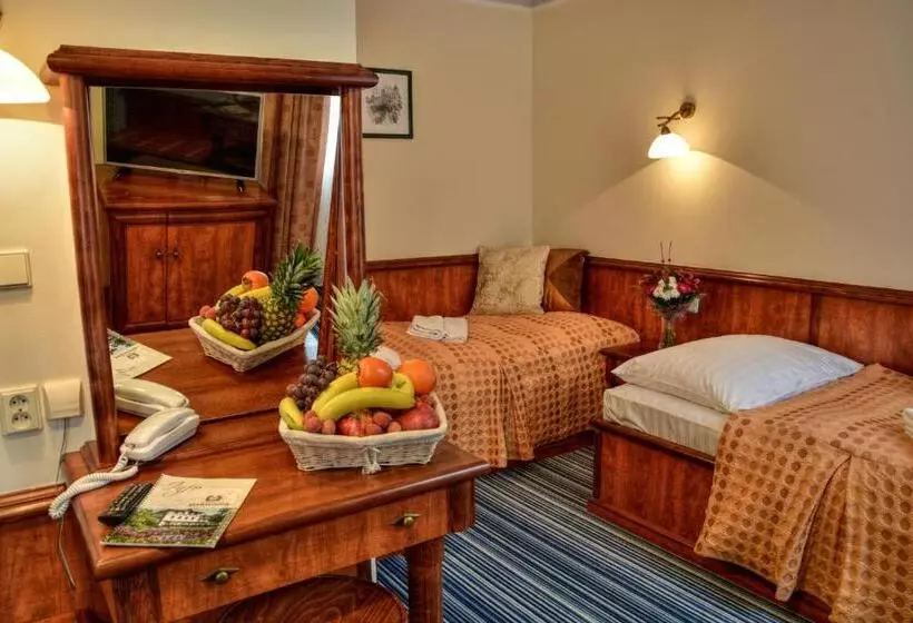 اتاق استاندارد, Spa & Wellness Hotel Harmonie