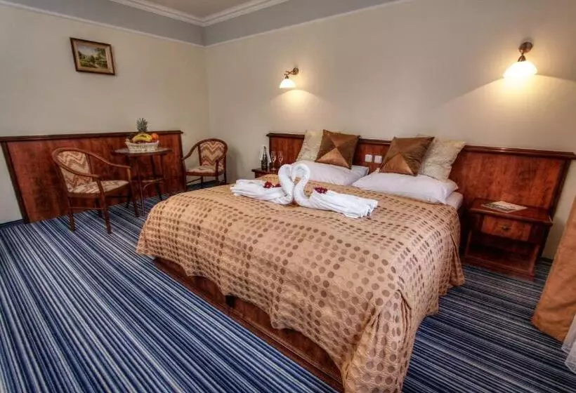 اتاق استاندارد با تخت بزرگ, Spa & Wellness Hotel Harmonie