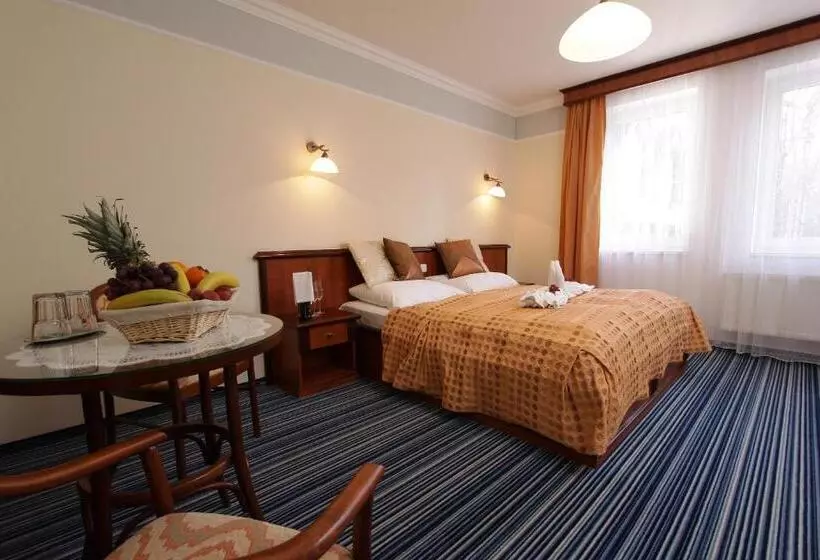 اتاق استاندارد با تخت بزرگ, Spa & Wellness Hotel Harmonie