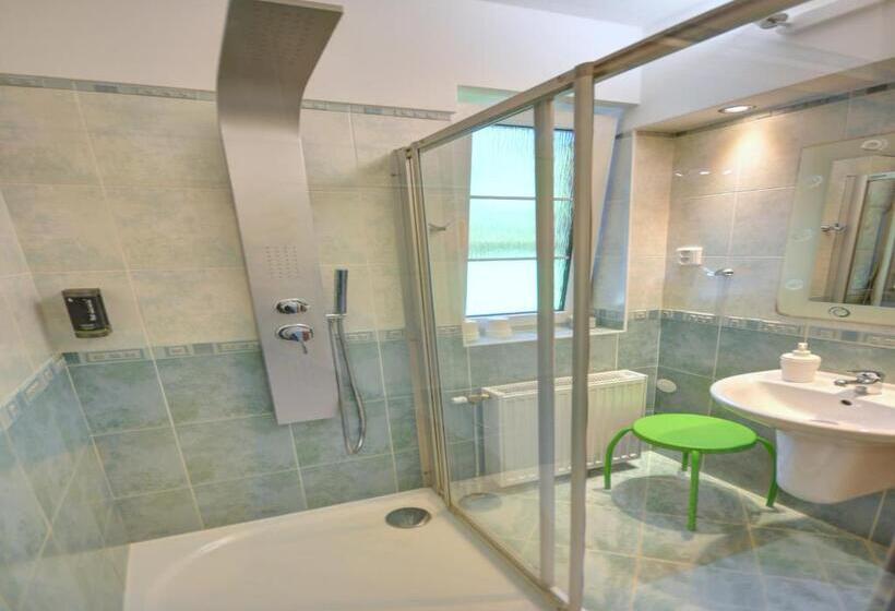 شقة غرفة واحدة مطلة على الحديقة, Wellness Hotel Fénix