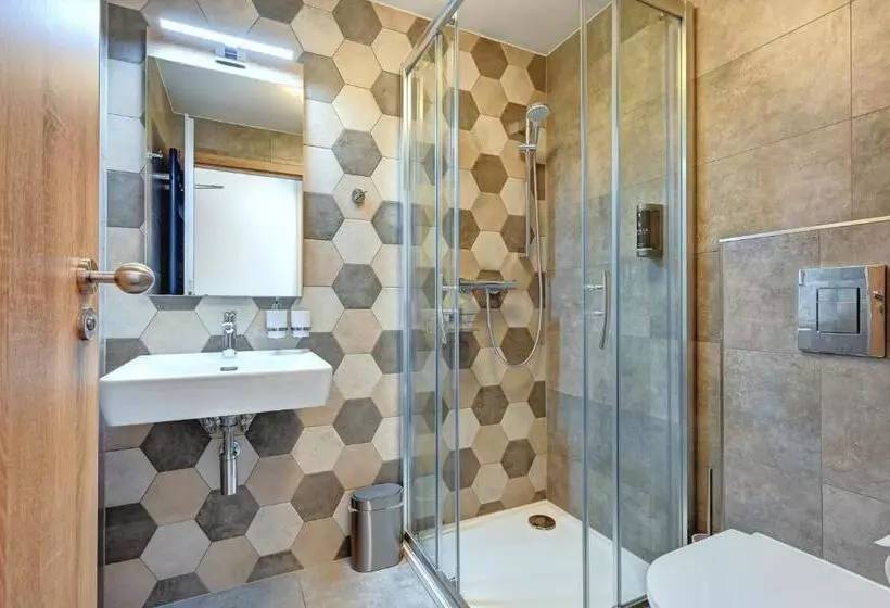 اتاق استاندارد, Wellness Hotel Fénix