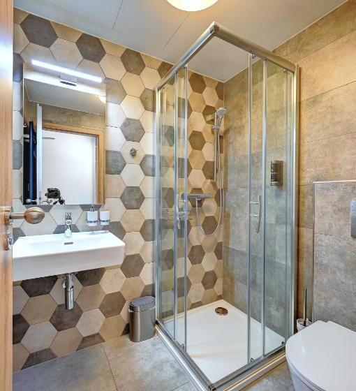 غرفة قياسية, Wellness Hotel Fénix