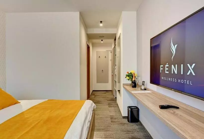 اتاق استاندارد با وان آب گرم, Wellness Hotel Fénix