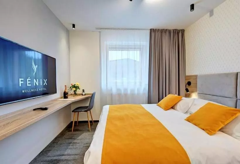 اتاق استاندارد با وان آب گرم, Wellness Hotel Fénix