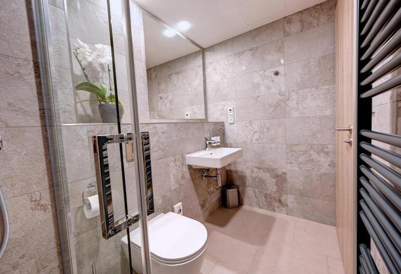 غرفة قياسية, Wellness Hotel Fénix