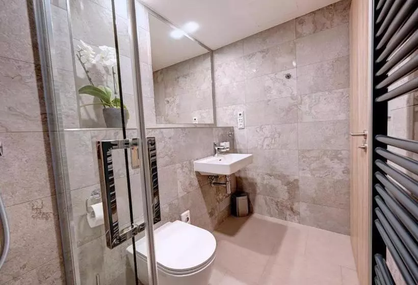 اتاق استاندارد, Wellness Hotel Fénix