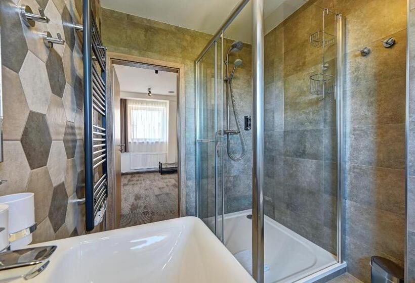 غرفة قياسية رباعية, Wellness Hotel Fénix