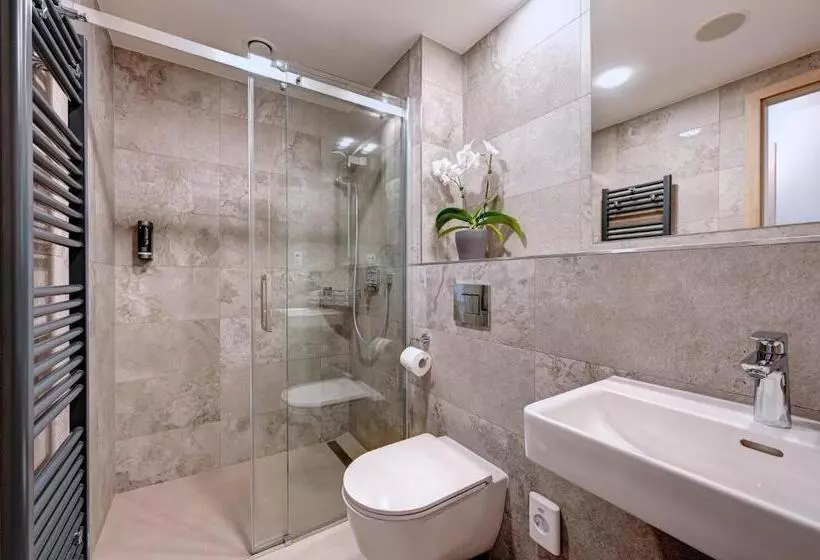 اتاق استاندارد, Wellness Hotel Fénix