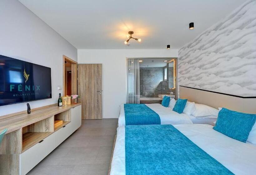 جناح مزود بجاكوزى, Wellness Hotel Fénix