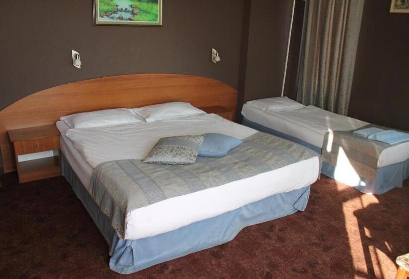 غرفة قياسية, Family Hotel Lazuren Briag