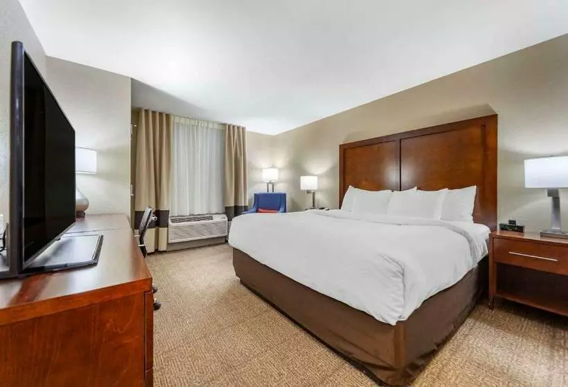 キングサイズベッドのスタンダードルーム, Comfort Inn & Suites Sidney I 80