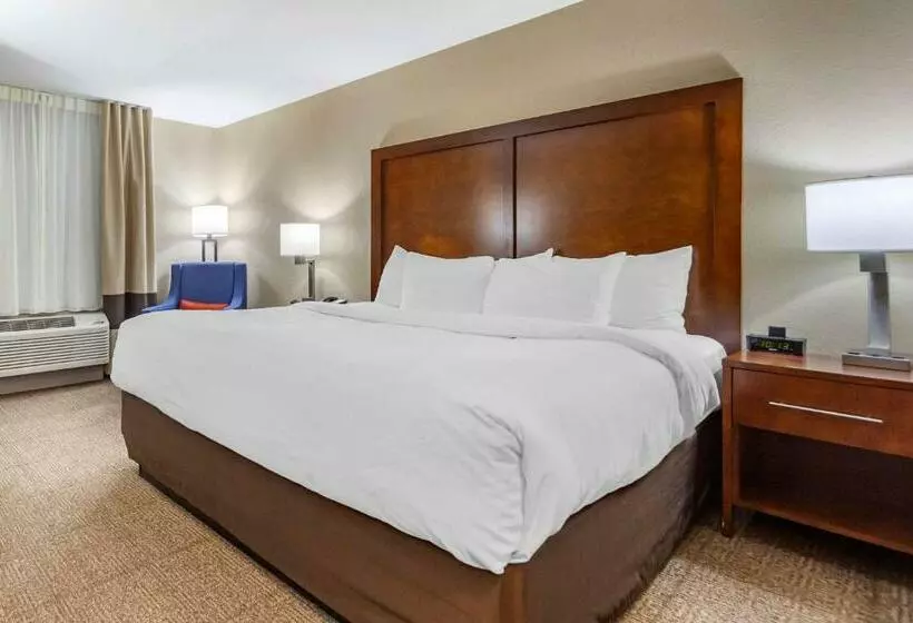 キングサイズベッドのスタンダードルーム, Comfort Inn & Suites Sidney I 80