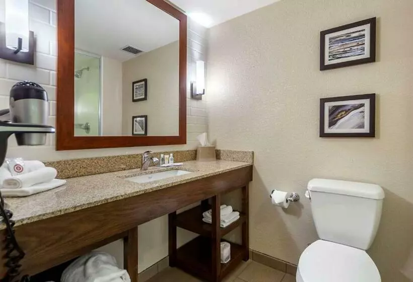 キングサイズベッドのスタンダードルーム, Comfort Inn & Suites Sidney I 80