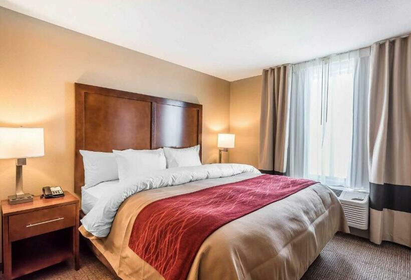 Стандартный Номер Кровать Кинг, Comfort Inn & Suites Sidney I 80