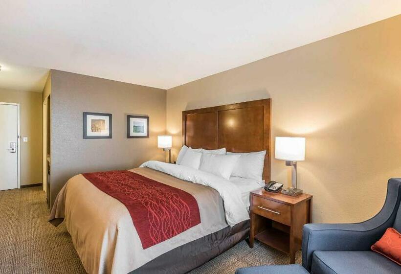 غرفة قياسية سرير كينج, Comfort Inn & Suites Sidney I 80