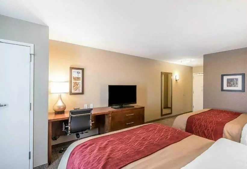 スタンダードルーム, Comfort Inn & Suites Sidney I 80