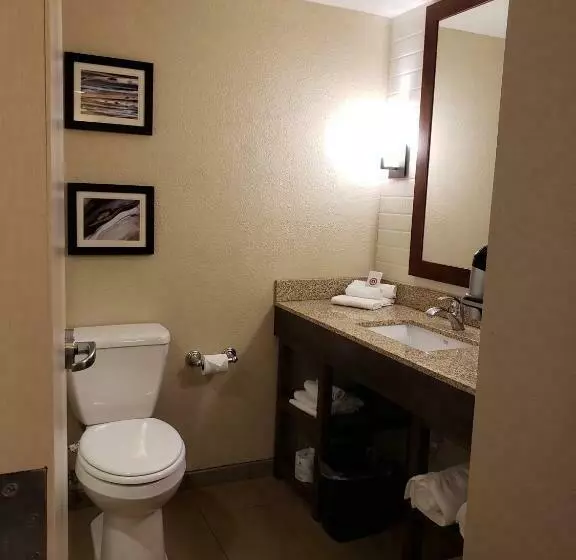 スタンダードルーム, Comfort Inn & Suites Sidney I 80