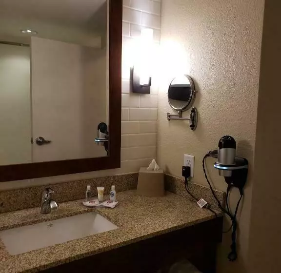 スタンダードルーム, Comfort Inn & Suites Sidney I 80