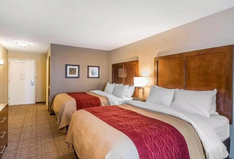 身障者適用スタンダードルーム, Comfort Inn & Suites Sidney I 80