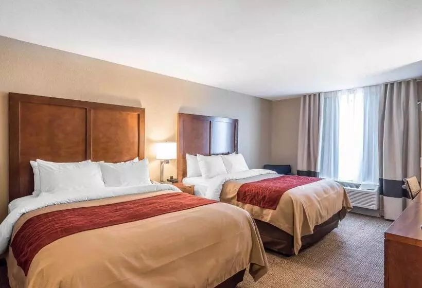 身障者適用スタンダードルーム, Comfort Inn & Suites Sidney I 80