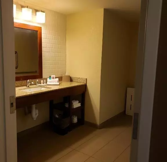 身障者適用スタンダードルーム, Comfort Inn & Suites Sidney I 80