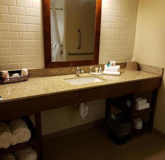غرفة قياسية لذوى الاحتياجات الخاصة, Comfort Inn & Suites Sidney I 80