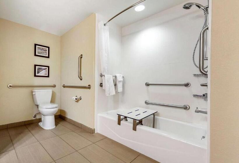 غرفة قياسية لذوى الاحتياجات الخاصة, Comfort Inn & Suites Sidney I 80