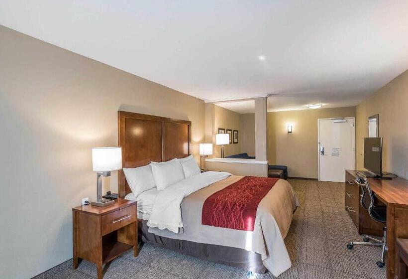 Люкс Кровать Кинг, Comfort Inn & Suites Sidney I 80