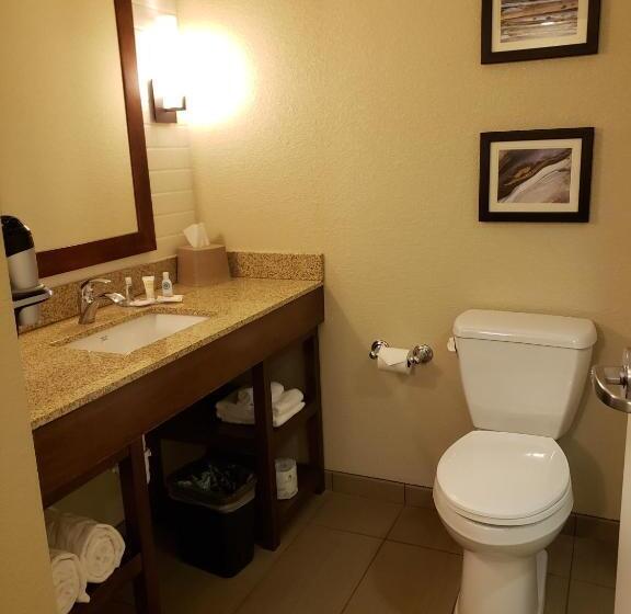 جناح سرير كينج, Comfort Inn & Suites Sidney I 80