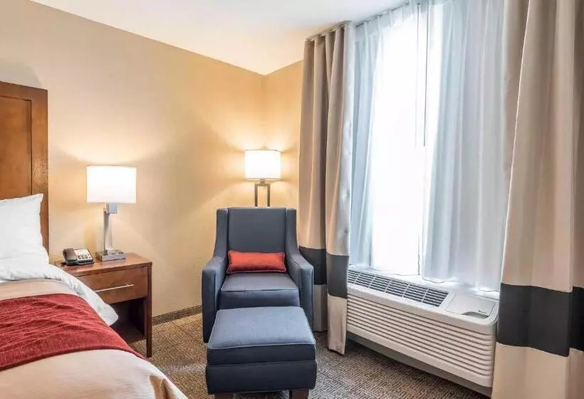 身障者適用キングサイズベッドルーム, Comfort Inn & Suites Sidney I 80