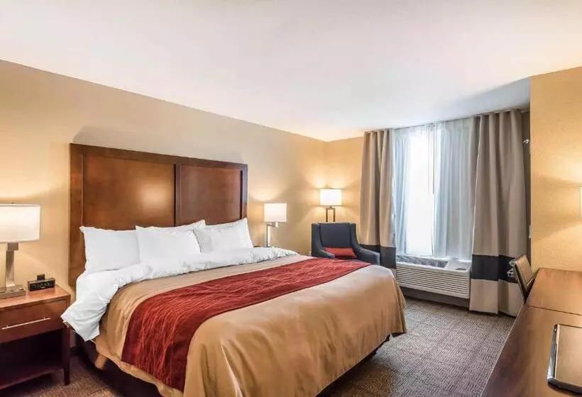 身障者適用キングサイズベッドルーム, Comfort Inn & Suites Sidney I 80