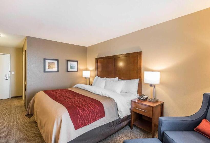 غرفة قياسية سرير كينج لذوى الإحتياجات الخاصة, Comfort Inn & Suites Sidney I 80