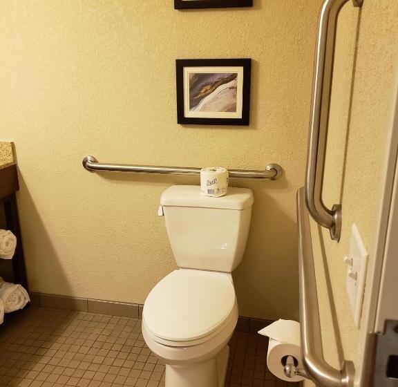 غرفة قياسية سرير كينج لذوى الإحتياجات الخاصة, Comfort Inn & Suites Sidney I 80